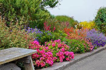 Surf And Gardens Fort Bragg