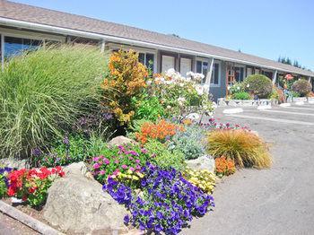 Surf And Gardens Motel 3*