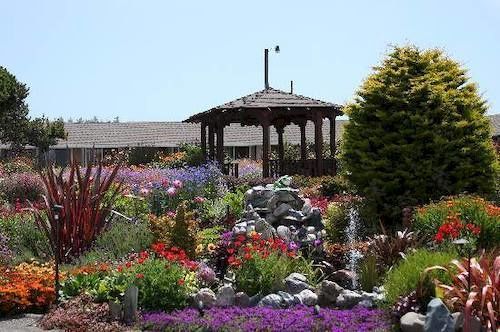 Motel Surf And Gardens