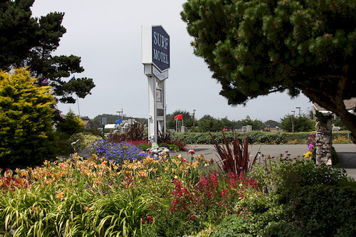 Surf And Gardens Motel 3*